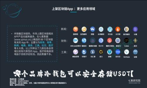 哪个品牌冷钱包可以安全存储USDT？