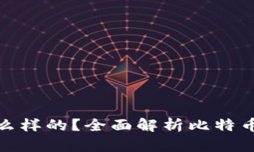 : 比特币钱包是什么样的？全面解析比特币钱包的种类与功能