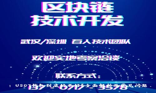 : USDT钱包到底好不好？全面解析及常见问题