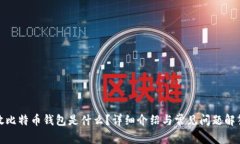 放比特币钱包是什么？详