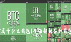 USDT属于什么钱包？全面解