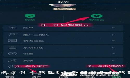 USDT属于什么钱包？全面解析各种钱包类型