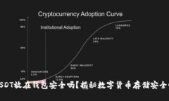 USDT放在钱包安全吗？揭秘