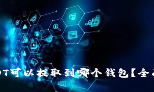 : USDT可以提取到哪个钱包？全面解析