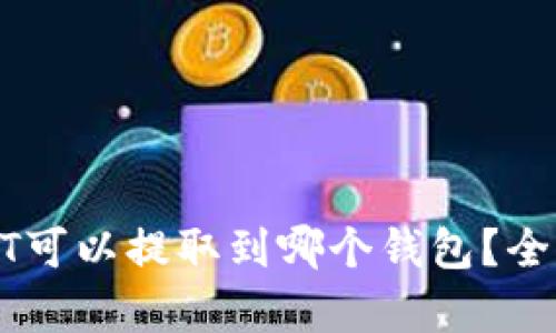 : USDT可以提取到哪个钱包？全面解析