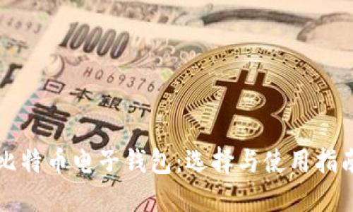 比特币电子钱包：选择与使用指南