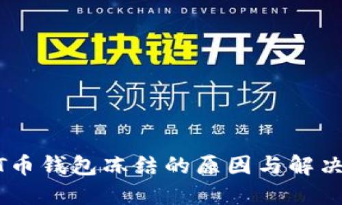 USDT币钱包冻结的原因与解决方案