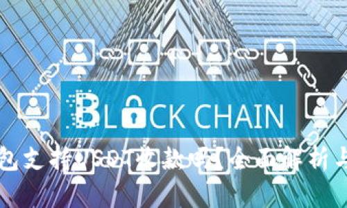 比特币钱包支持USDT收款吗？全面解析与实用指南