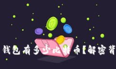 中本聪的钱包有多少比特