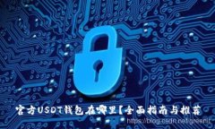 官方USDT钱包在哪里？全面指南与推荐