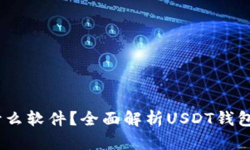 USDT钱包是什么软件？全面解析USDT钱包的功能与使用