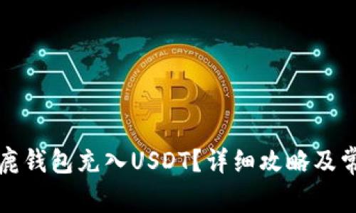 如何通过公鹿钱包充入USDT？详细攻略及常见问题解答