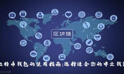 比特币钱包的使用指南：选择适合你的中文钱包