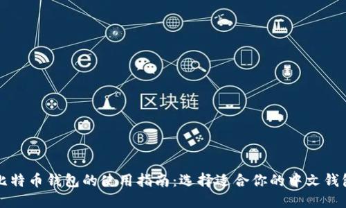 比特币钱包的使用指南：选择适合你的中文钱包