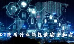 USDT使用什么钱包最安全和方便？