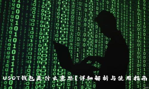 USDT钱包是什么意思？详细解析与使用指南