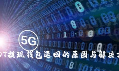 USDT提现钱包退回的原因与解决方案