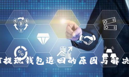 USDT提现钱包退回的原因与解决方案