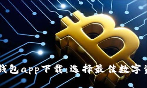 手机虚拟币钱包app下载：选择最佳数字资产管理工具