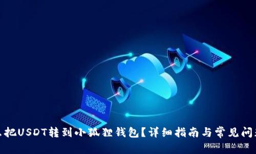 : 怎么把USDT转到小狐狸钱包？详细指南与常见问题解答