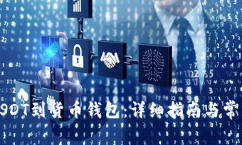 怎么充值USDT到货币钱包：详细指南与常见问题解答