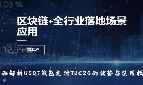 全面解析USDT钱包支付TRC20的优势与使用指南