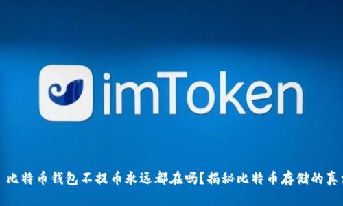 : 比特币钱包不提币永远都在吗？揭秘比特币存储的真相
