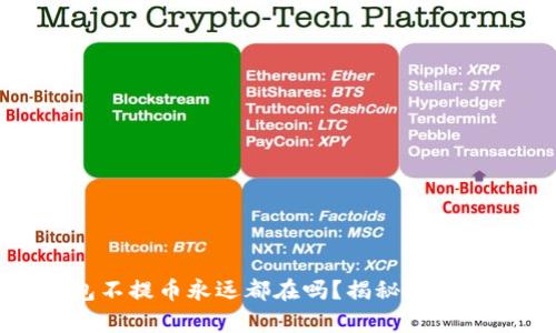 : 比特币钱包不提币永远都在吗？揭秘比特币存储的真相