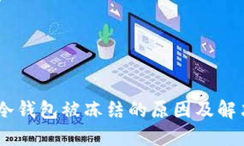 USDT冷钱包被冻结的原因及解决方案