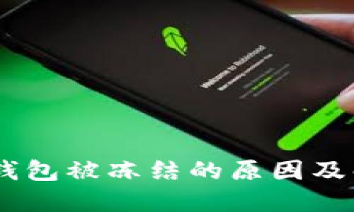 USDT冷钱包被冻结的原因及解决方案