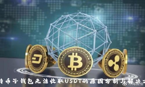  
比特币子钱包无法收取USDT的原因分析与解决方案