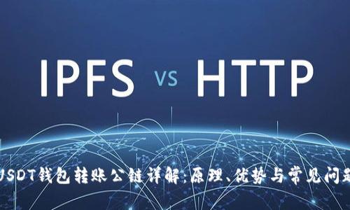 USDT钱包转账公链详解：原理、优势与常见问题