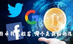 比特币钱包推荐：哪个是最好的选择？