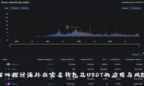 深入探讨海外非实名钱包及USDT的应用与风险
