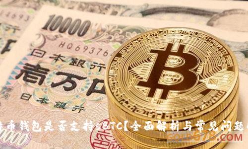 比特币钱包是否支持sBTC？全面解析与常见问题解答