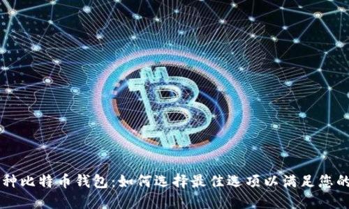 多币种比特币钱包：如何选择最佳选项以满足您的需求