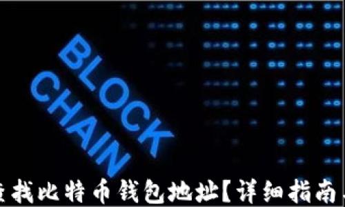 
如何查找比特币钱包地址？详细指南与技巧