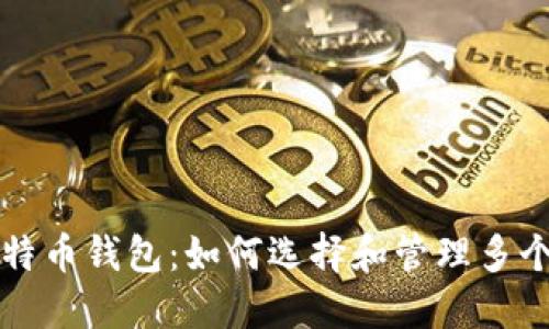 深入了解比特币钱包：如何选择和管理多个比特币钱包