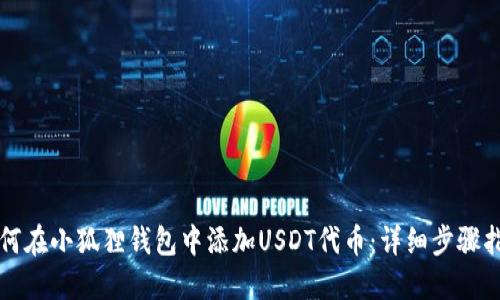 如何在小狐狸钱包中添加USDT代币：详细步骤指南