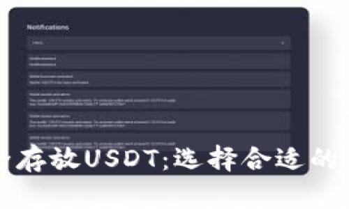 如何安全存放USDT：选择合适的钱包指南