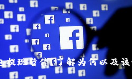 USDT钱包提现暂停？了解为何以及该如何应对