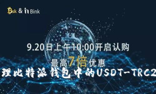 如何高效管理比特派钱包中的USDT-TRC20：全面指南