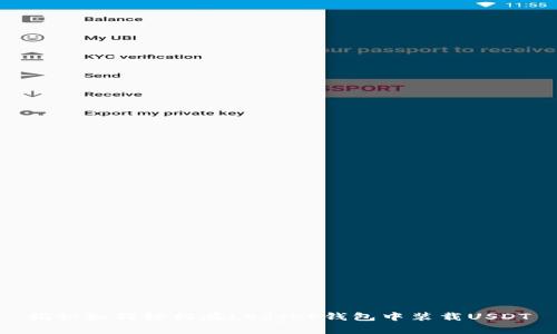 揭秘如何轻松在Ledger钱包中装载USDT