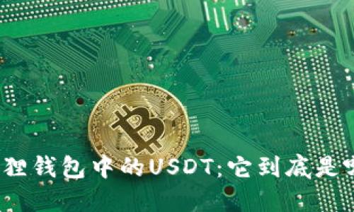 探秘小狐狸钱包中的USDT：它到底是哪个网络？